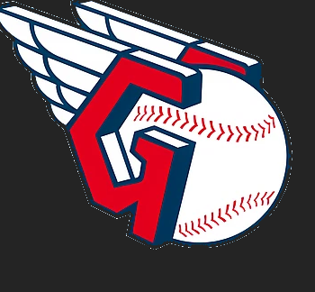 guardians partner logo